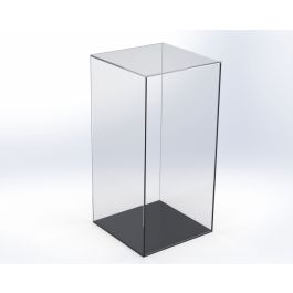 Tall Display Case